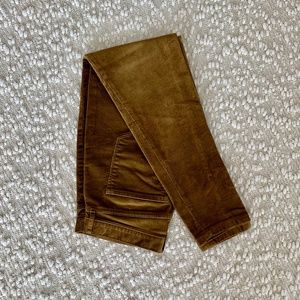 Banana Republic Bronze Skinny Cords